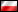 Light Up - Polski
